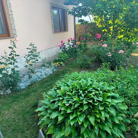 Erzsebet Vendeghaz Апартаменты *