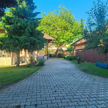 Erzsebet Vendeghaz
